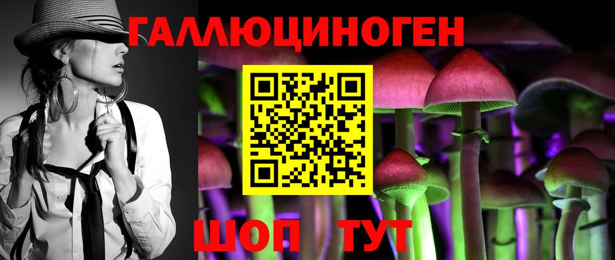Псилоцибиновые грибы GOLDEN TEACHER  Вход с VPN  наркошоп  Чернушка  Псилоцибиновые грибы Magic Shrooms 