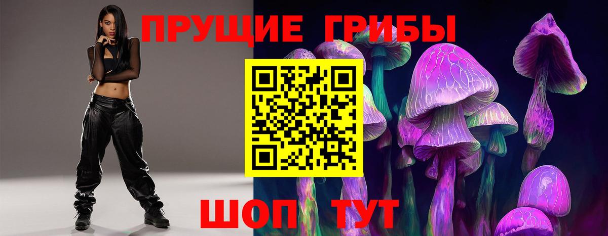 Псилоцибиновые грибы мицелий Чернушка